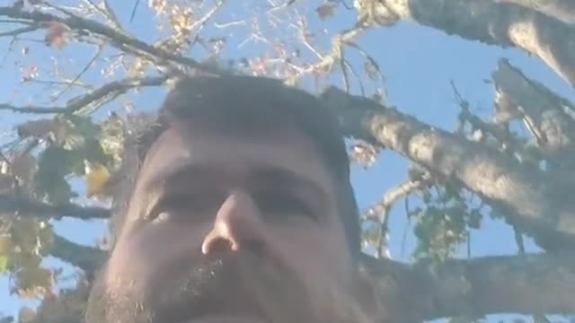 2022-11-02 16:16:33