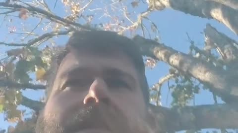 2022-11-02 16:16:33