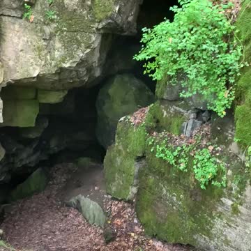 NATURE’S AIR CONDITIONING