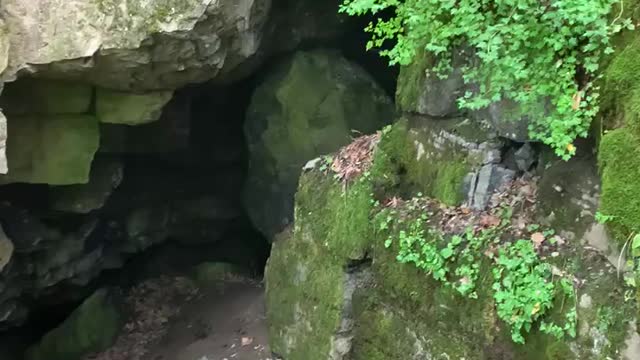 NATURE’S AIR CONDITIONING