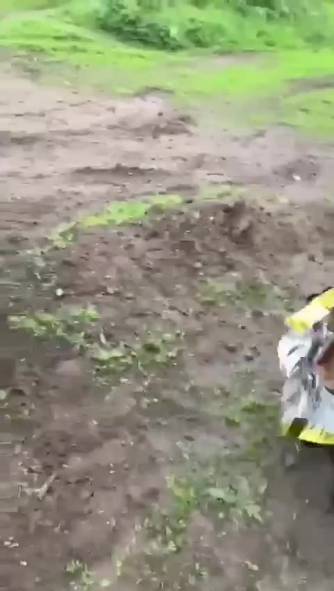 Is he saying in French ... my arm my arm?