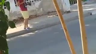 Video: ¡Insólito! Halcones atacan a vecinos del Barrio España