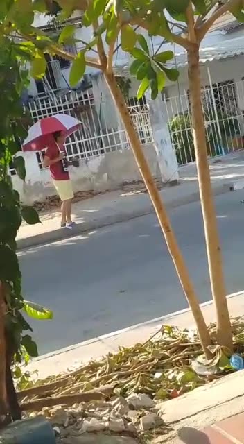 Video: ¡Insólito! Halcones atacan a vecinos del Barrio España
