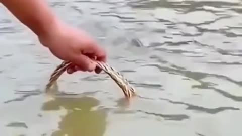 Easy fishing hacks