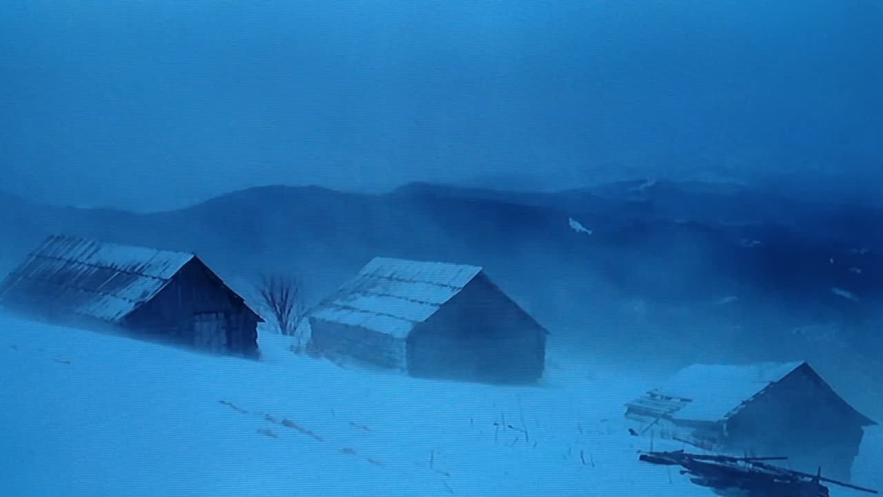 BEWARE OF THE BEAST MAN...PT.1