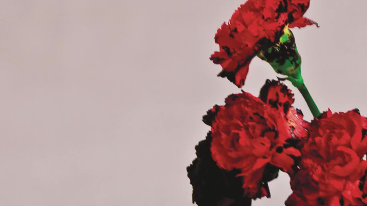 All of Me by John Legend
