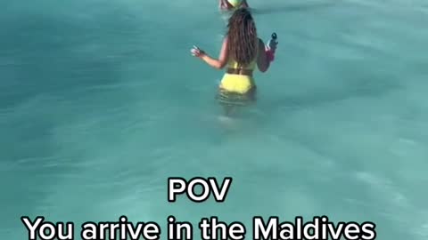 POVYou arrive in the Maldivesof the East coast