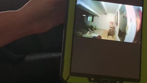 Brother Caught Sneaking into the House