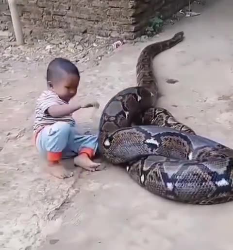 #Pet the strange playmate