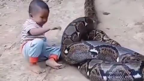 #Pet the strange playmate