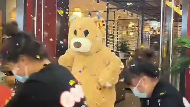 Cute Grizzly Bear Part 5 !!!