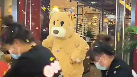 Cute Grizzly Bear Part 5 !!!