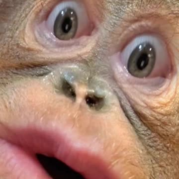 Sing it for Mama! Put your Heart and Soul into it!