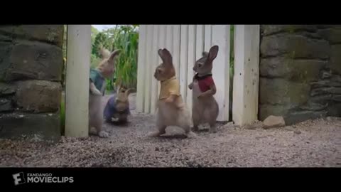 Peter Rabbit (2018) - Wet Willy Rescue (4-10) - Movieclips_Cut