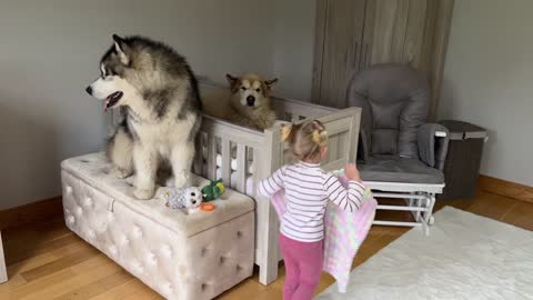 Adorable Baby Girls Puts Her Dog To Bed Even Reads Him A Story!