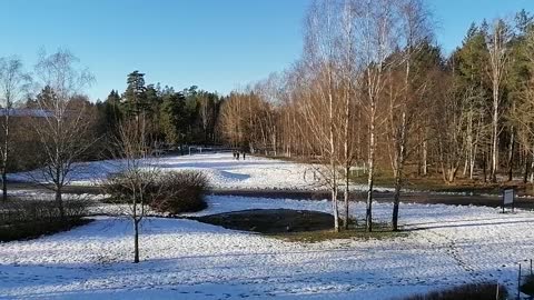 Winter Sweden the sun