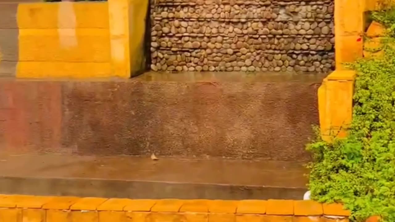 Hailing & Raining At ffbl karachiš„°