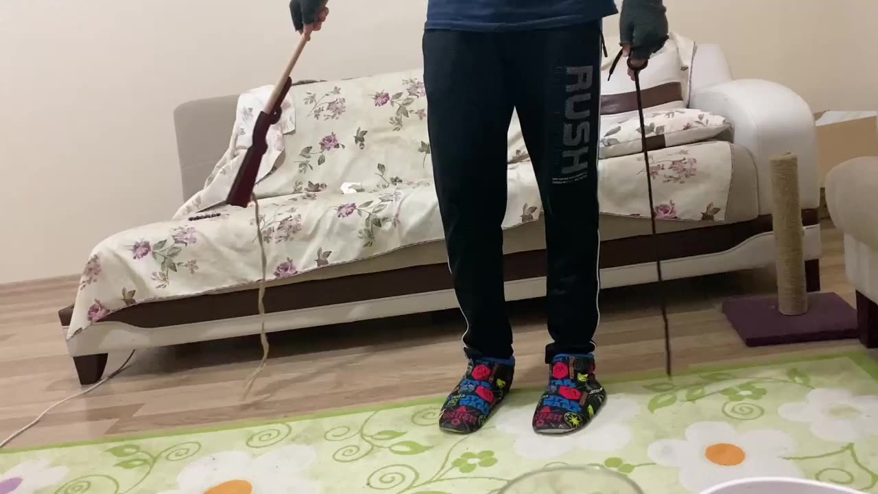 Karate Cat