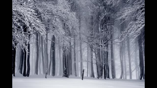 3 HOURS Artic Wind Sound - White Noise for Sleep, Relaxation, Meditation, Studying, Stress Relief