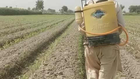 Farmer Work