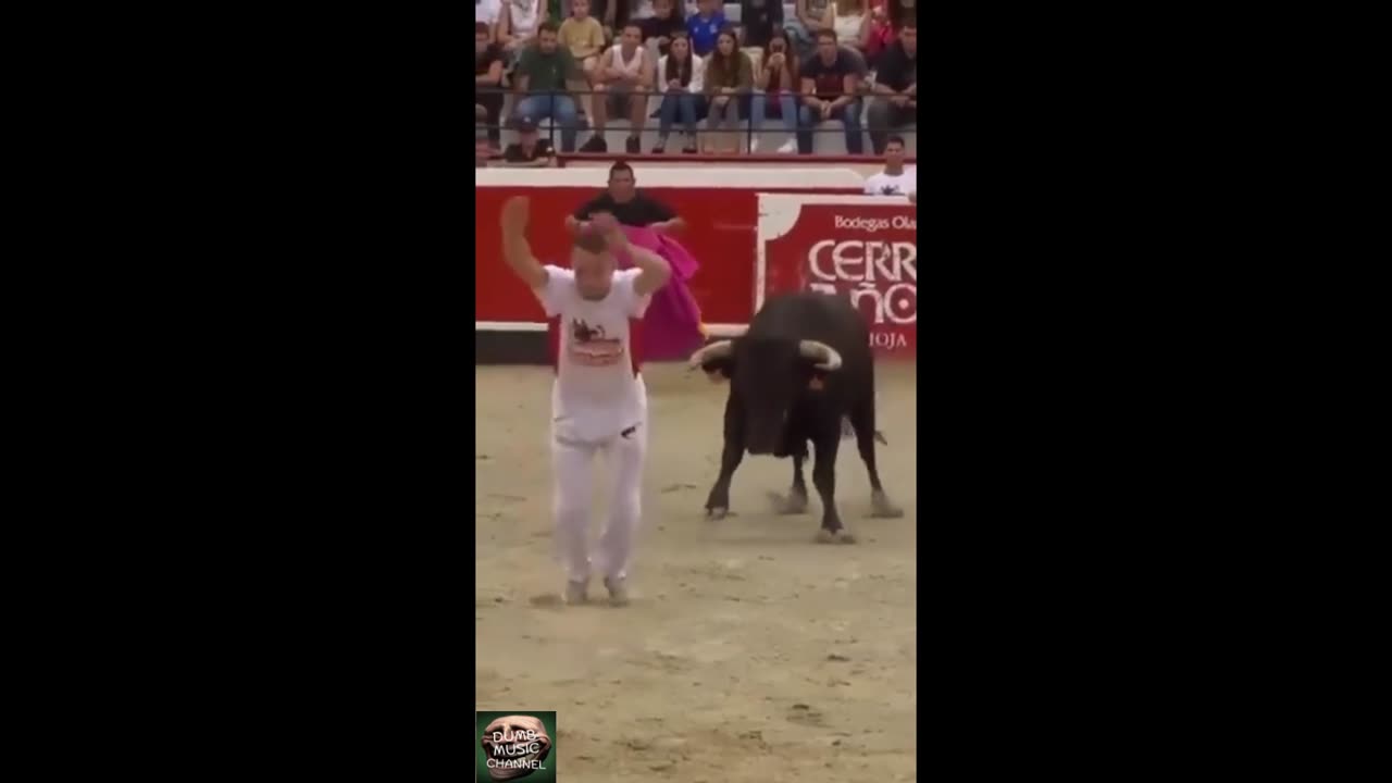 Bull Fighting - Man Takes the Leap of Faith!