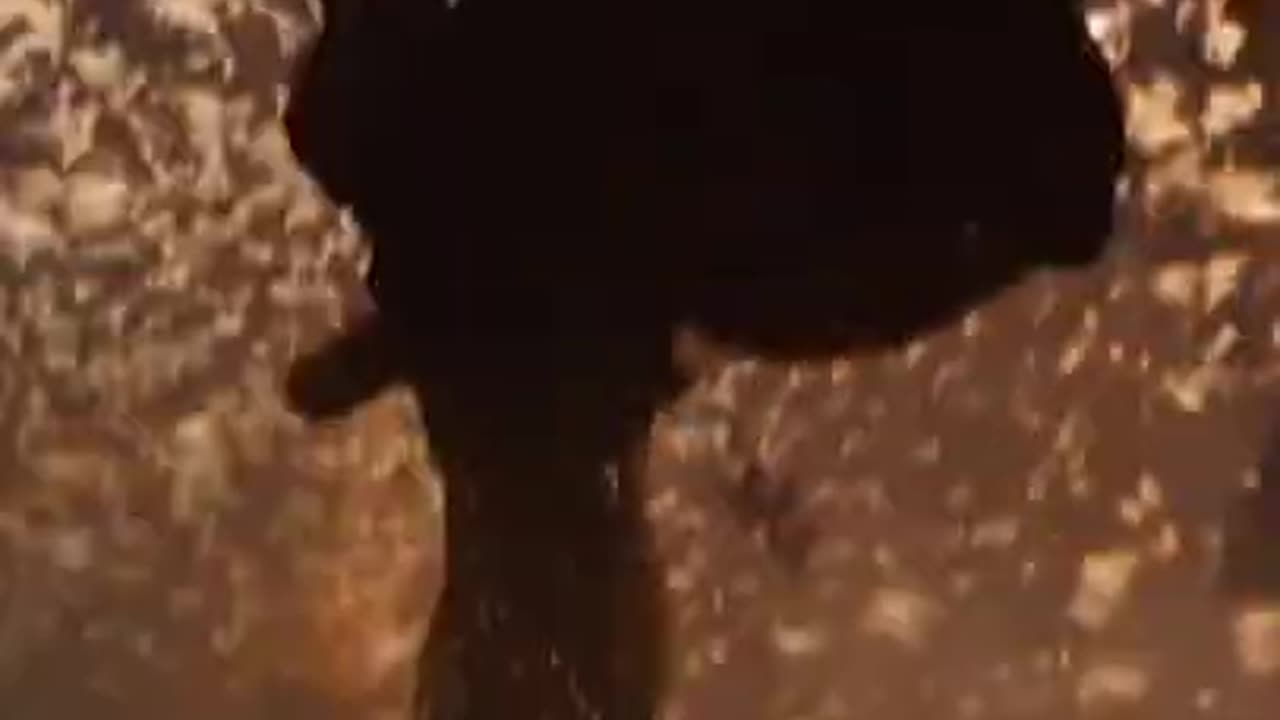 Marvel scenes