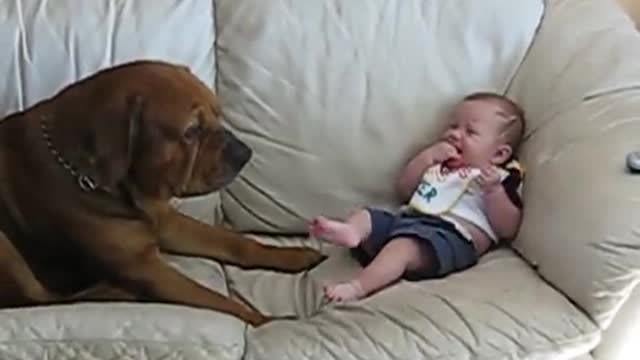 The Boy and the Dog