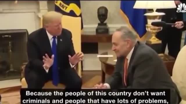 I'll shut down the gov for Border security - Mr T