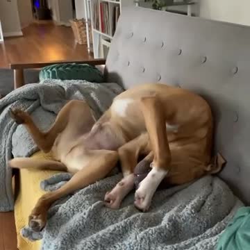 SHOWING THAT HE IS DEFINITELY BROKEN.mp4