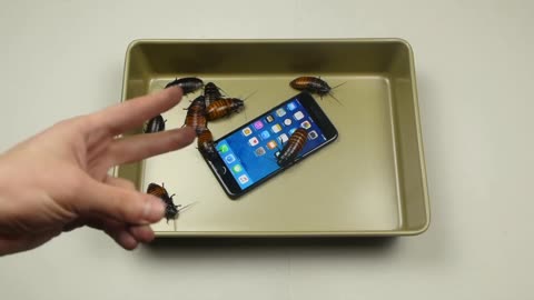 TechRax: Casting Cockroaches + iPhone 7 Plus in Molten Aluminum!