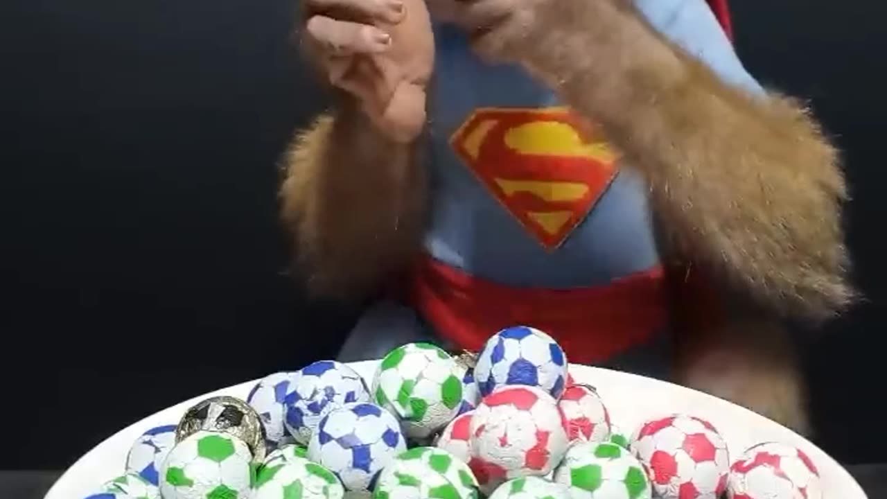 Monkey Eatingππππππ