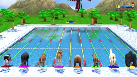 Zoo Animals Swimming Race Fun Play Video