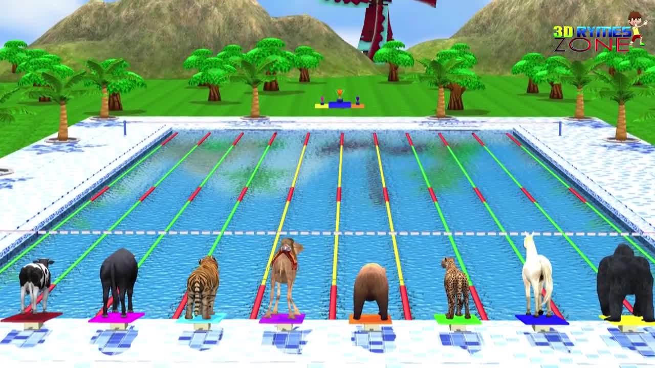 Zoo Animals Swimming Race Fun Play Video