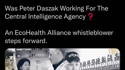 R.E.M. - It's The End Of The World As We Know It