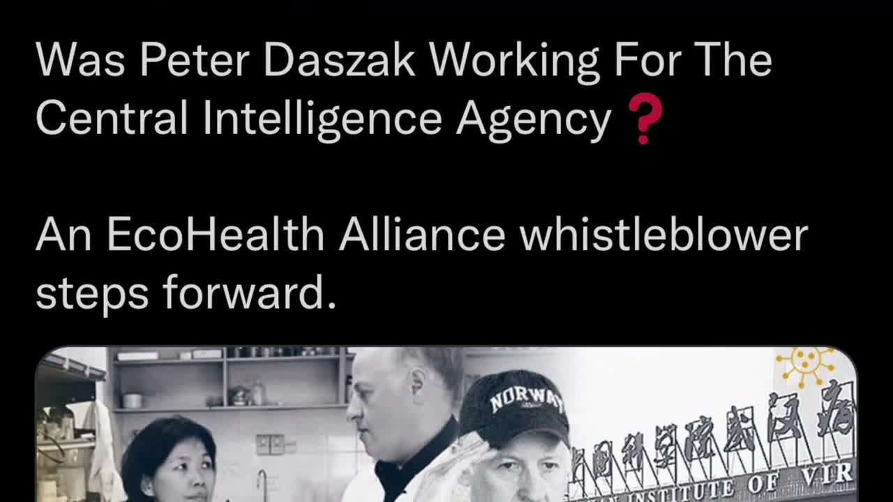 R.E.M. - It's The End Of The World As We Know It