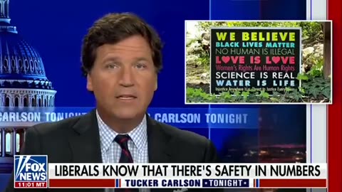 NPR wants their foot soldiers to have guns, at the same time they want to disarm you.