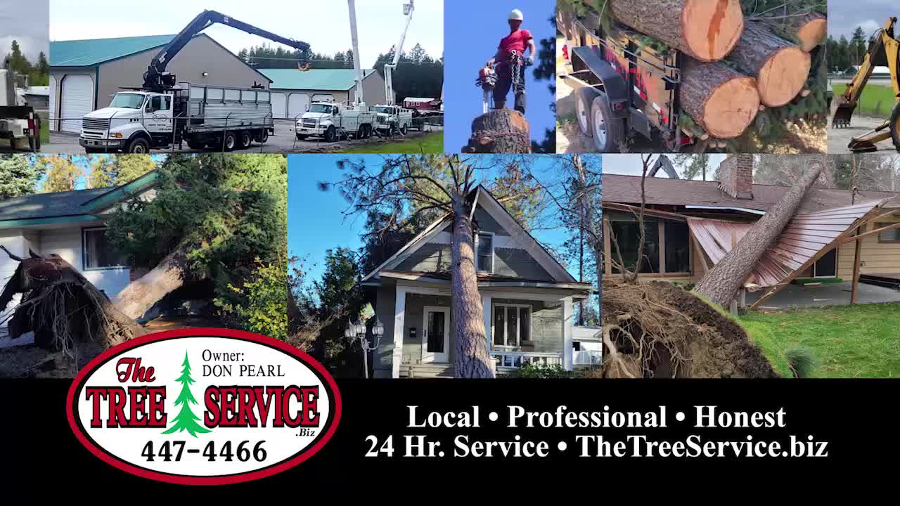 The Tree Service