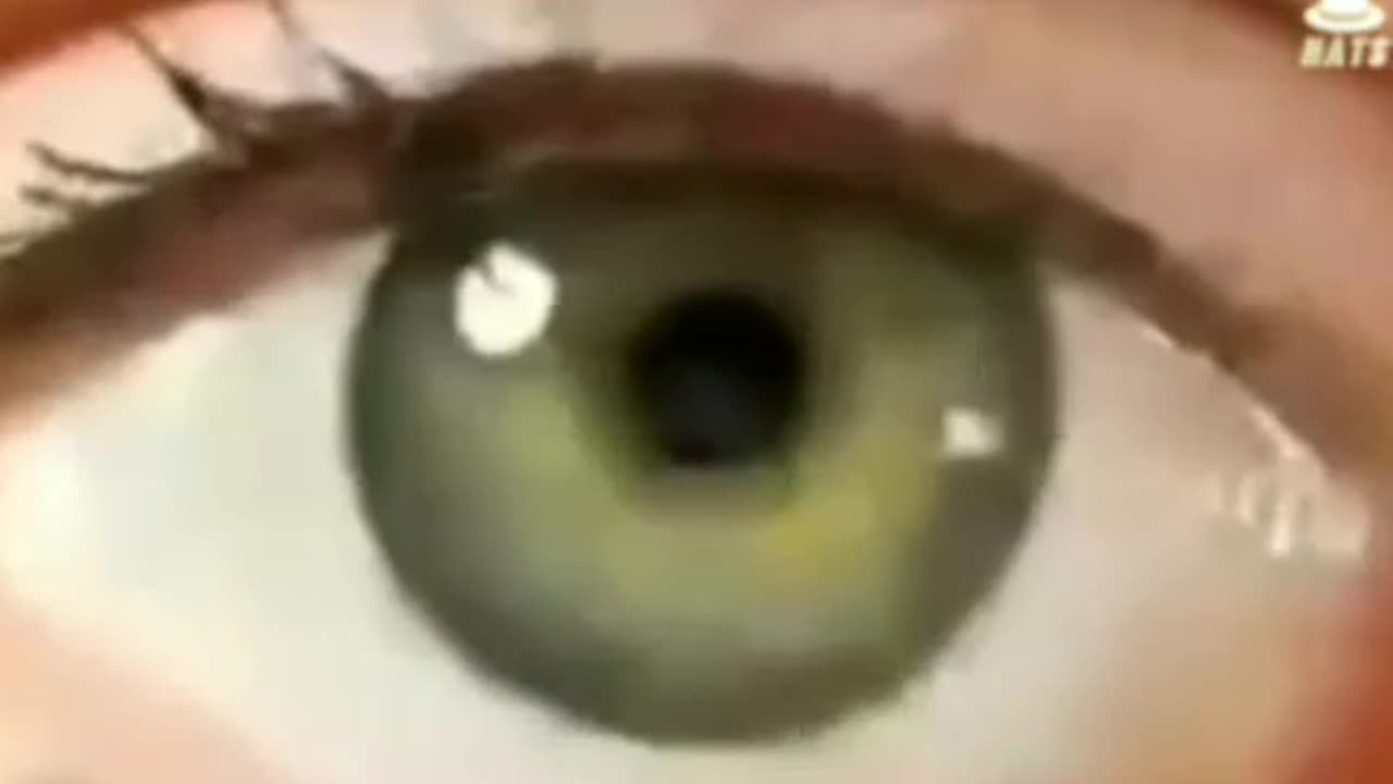 DARPA flesh interface 2018..