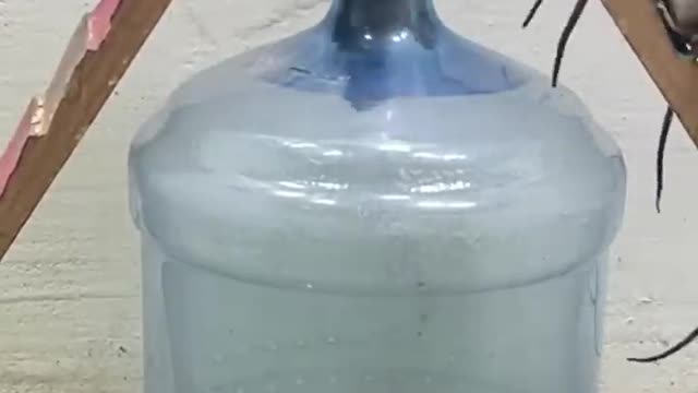 Rat trap plastic bottle_rat mice #rat #mouse #mousetrap2022 #shorts