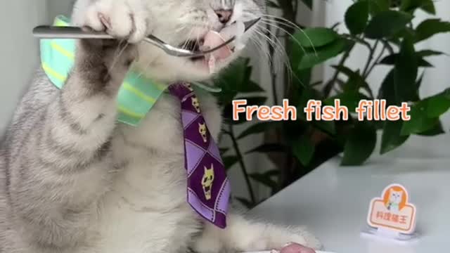 Chef Cat ChangAn😼：I'm Going To Start Eating Fish,Yummy!