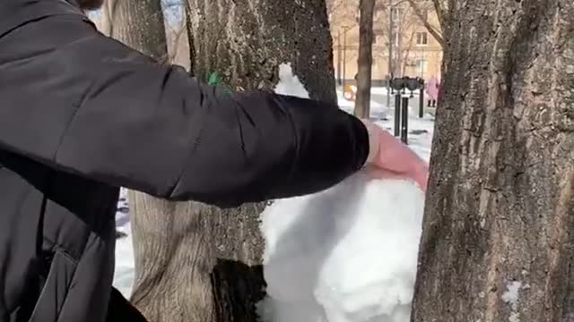 Snow rabbits in winter