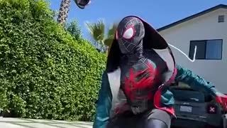 SPIDER MAN