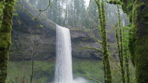 The language of the waterfall.