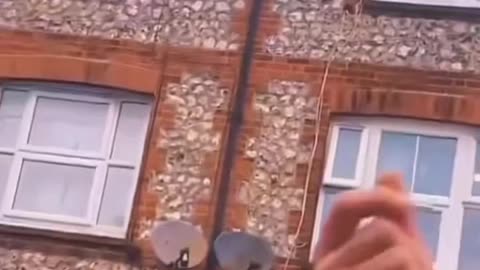 funny videos