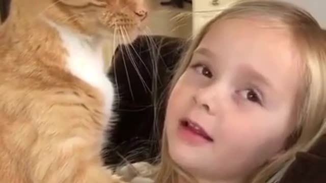 Cute cat and adorable little girl