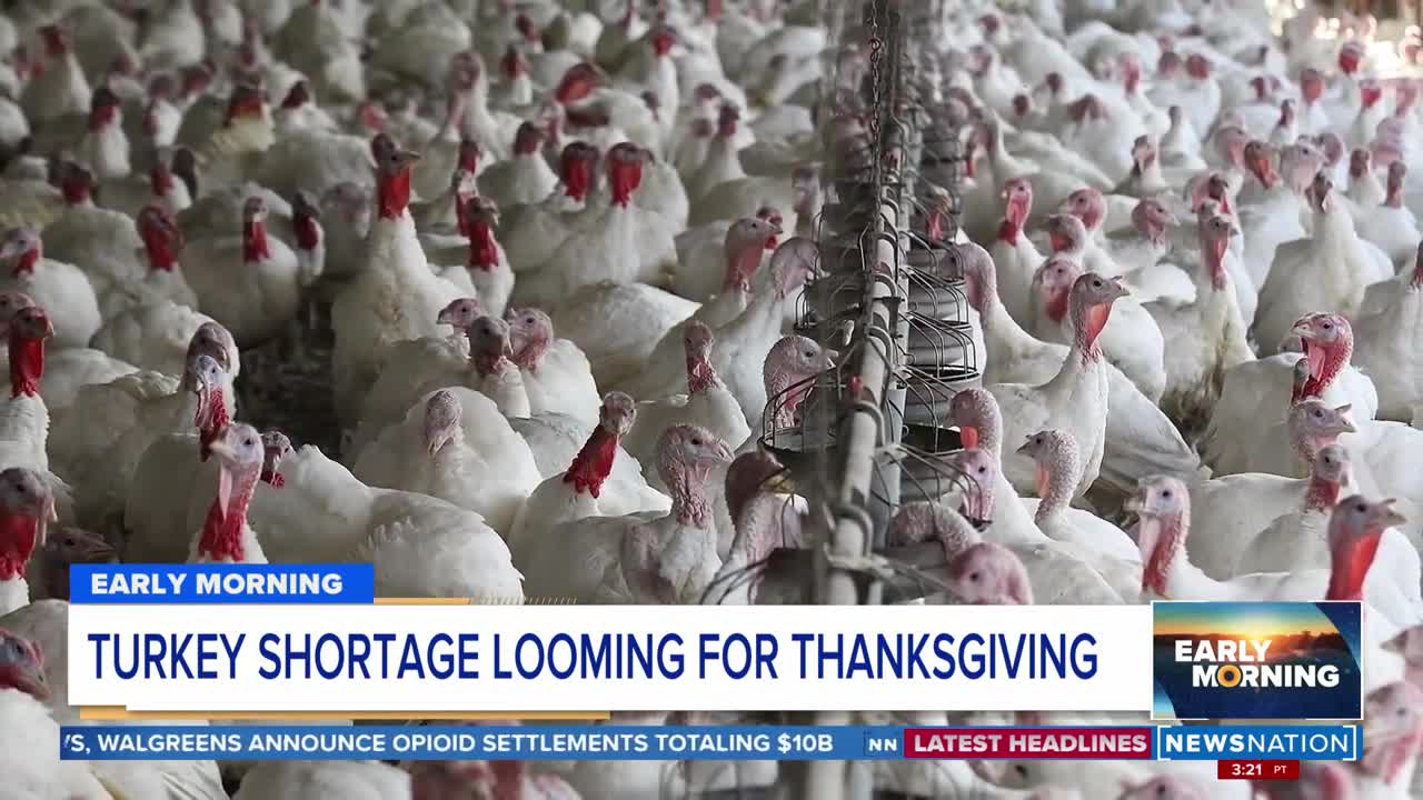 Turkey shortage expected this Thanksgiving | Early Morning