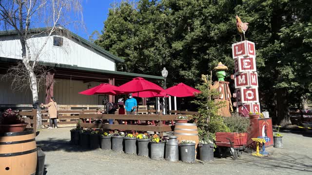 This Family Farm Offers Winter Fun in Half Moon Bay