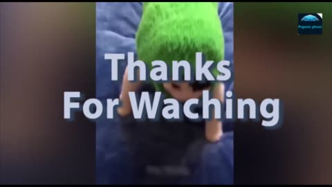 BestFunnyVideoForCat's