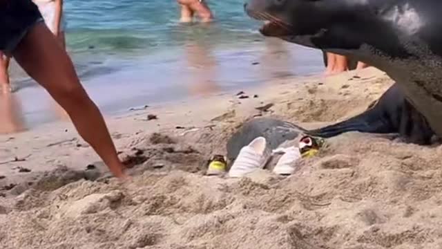 Respect to the couple that moved for the seal