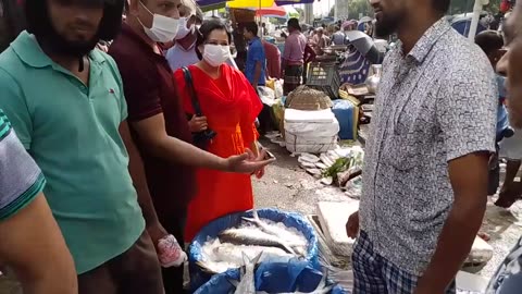 ইলিশের দরদাম । ১১ সেপ্টেম্বর/শুক্রবার । কাওরান বাজার, ঢাকা । সদাইপাতি । Sodaipati
